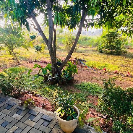 Fairview Dill Homestay Сигирия Экстерьер фото